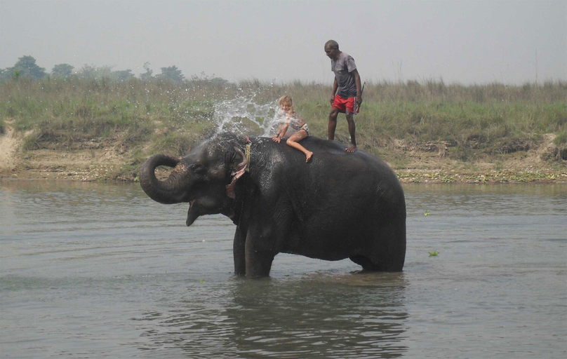 Others 5, Eco Adventure Resort, Narayani