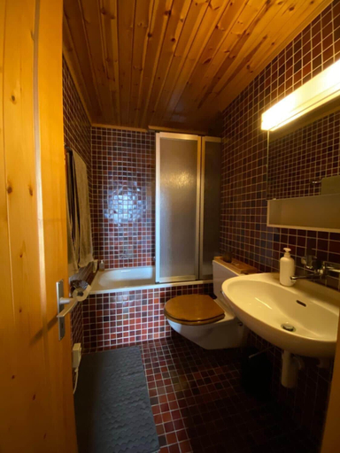 Bathroom, Gunneheim Antares, Raron