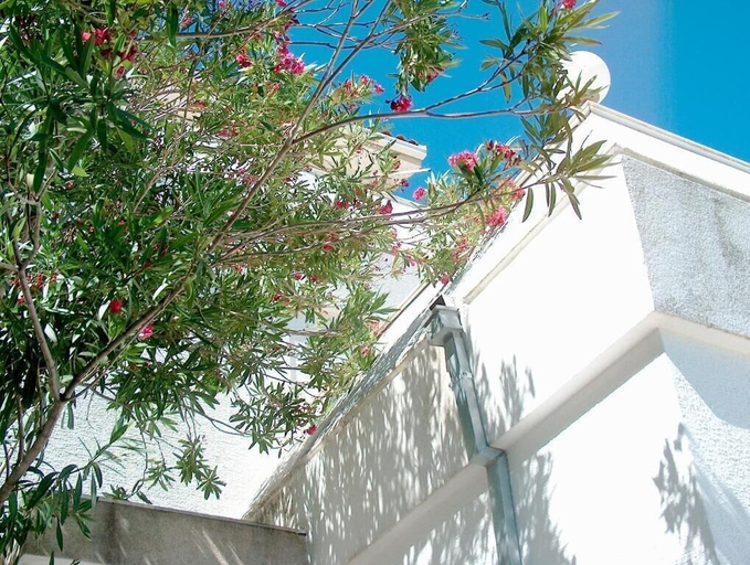 Exterior & Views 2, Guest House Blanka, Okrug