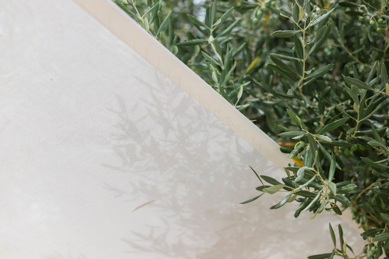 Exterior detail, TD Trulli Balice Luxury Retreat with Pool, Bari