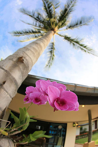 Exterior & Views 2, 5 Bedroom Beachfront Villa SDV100-By Samui Dream Villas, Ko Samui