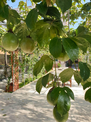 Public Area 3, Happy Casa Resorts, Kinmen