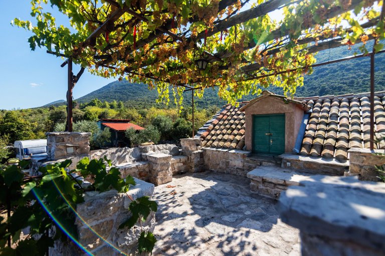 Others 4, House Lavanda, Trpanj