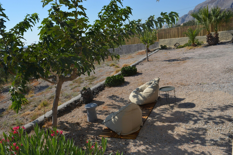 Garden, Olive Villa fully renovated house, South Aegean