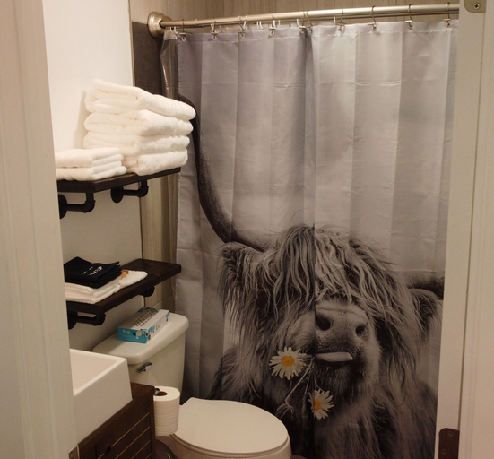 Bathroom 4, Winzig Lodge, Bannock