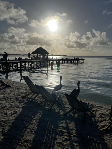 Others 5, Dream Cabanas
