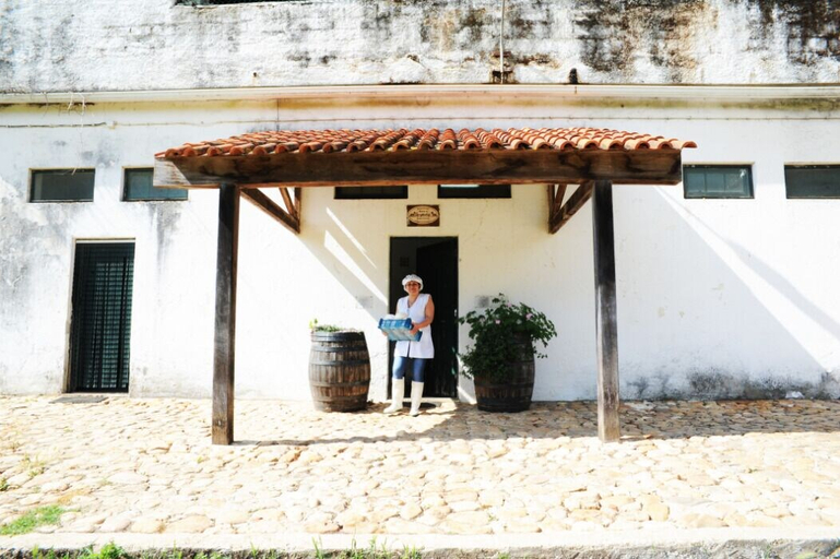 Exterior & Views, Vumba - The Gorongosa Suite, Arganil