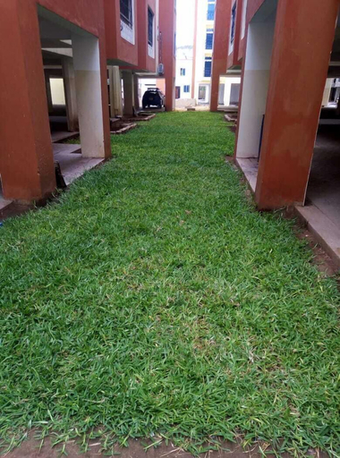 Others 5, Stay.Plus Mtwapa Luxe Apartments, Kilifi South