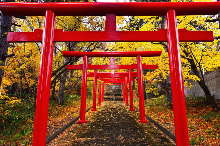 Others 4, Stay SAKURA Kyoto Nijo Castle West I, Kyoto