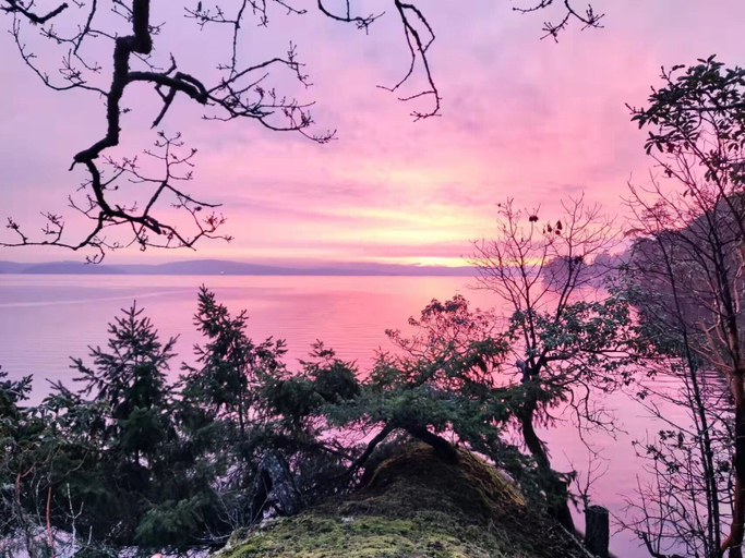 Others 4, Sea La Vie Rare Peaceful Hidden Gem, Nanaimo
