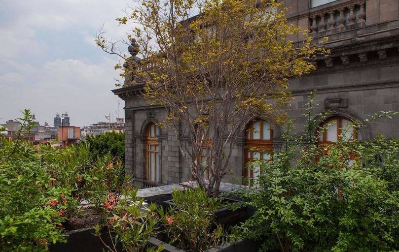 Exterior & Views, Master Loft in Historic Downtown, Mexico City