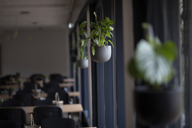 Food & Drinks 4, Sønderborg City Hostel, Sønderborg