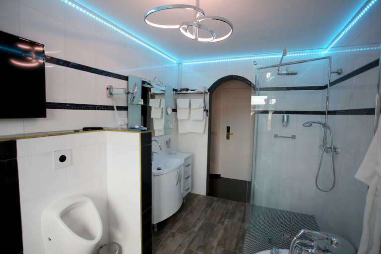 Bathroom 3, Höckner Plazahotel, Vöcklabruck
