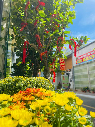 Duy Cảnh Homestay, Côn Đảo