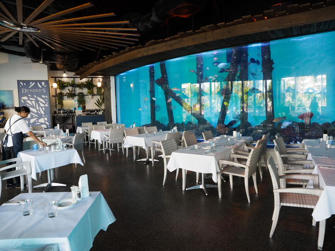 Food & Drinks, Healthy Living Centre, Cairns