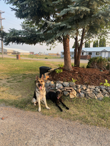 Others 4, Sacajawea Inn, Lemhi