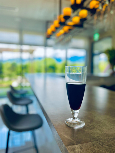 Food & Drinks 5, Mizuho Hotel, Hualien