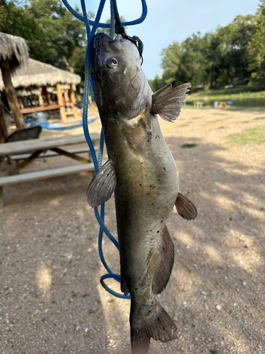 Others 1, Son's River Ranch Glamping Cabin 38, Guadalupe