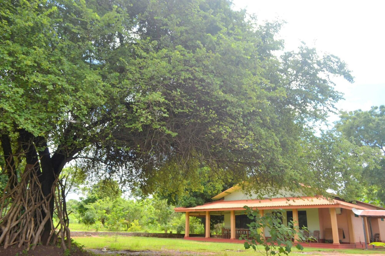 Others 5, Wilpattu Dilsara Holiday Resort, Nochchiyagama