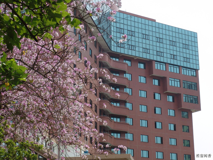 Exterior & Views 2, City Hotel Xiamen, Xiamen
