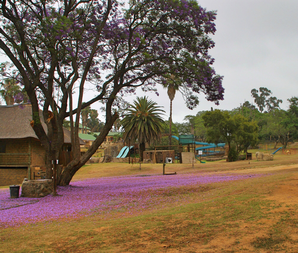 Exterior & Views 2, Natal Spa Hot Springs Self Catering, Zululand