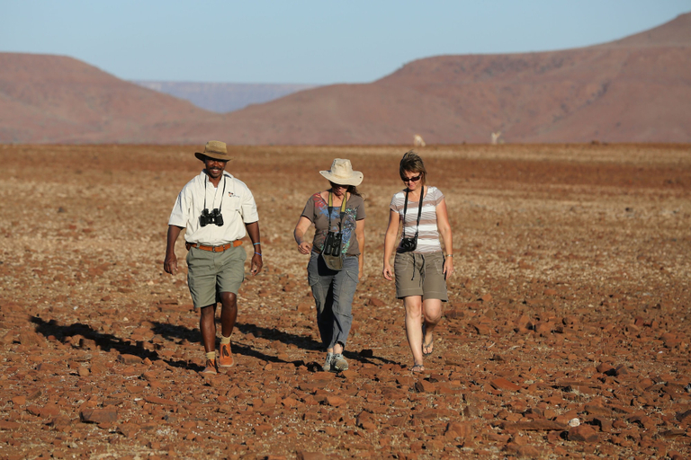 Others 4, Palmwag Camping2Go, Sesfontein