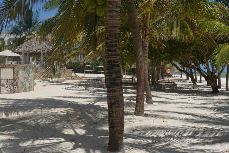 Exterior & Views 2, Twiga Beach & Spa, Kilifi North