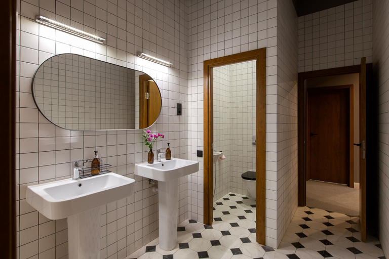 Bathroom 3, Q-block capsule hotel, Northern