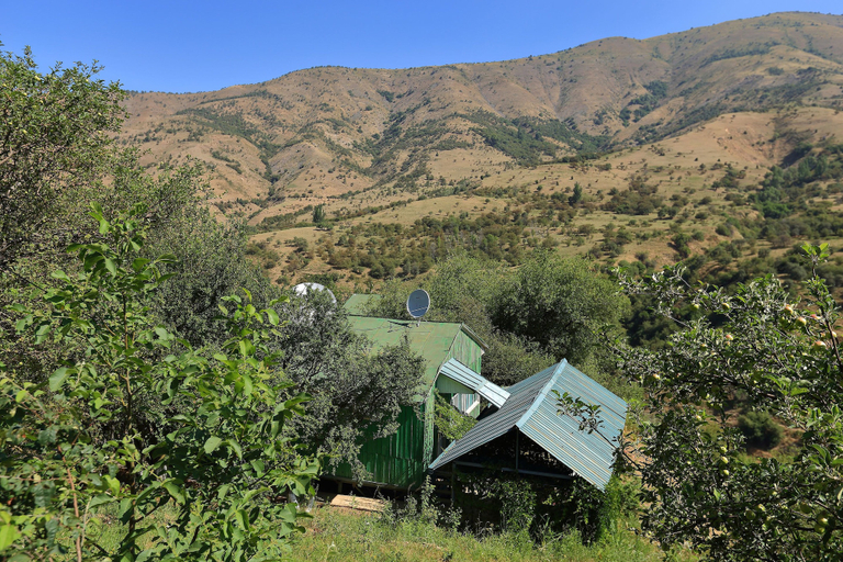 Property grounds 3, Recreation Zone Dustlik, Bo'stonliq
