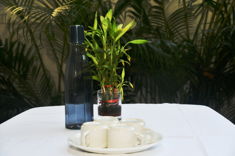 Food & Drinks 5, Klase Homep, North Goa