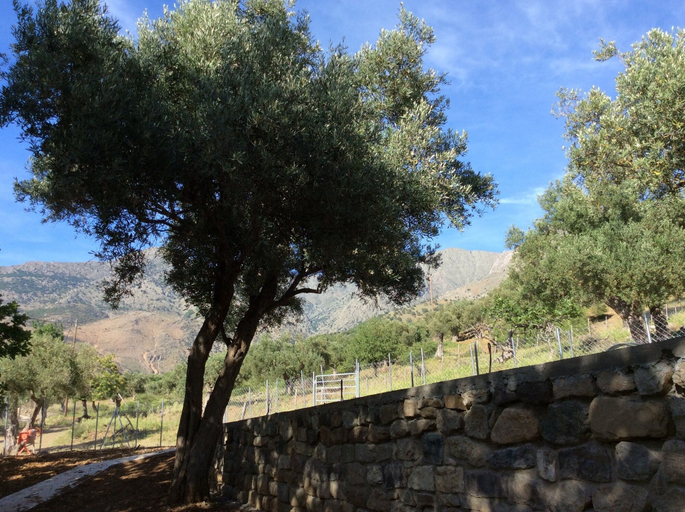 Others 4, Samothraki Suites Kalisti, East Macedonia and Thrace