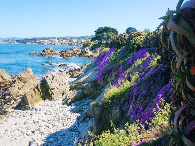 Others 5, Mv6: 30 Night Minimum Lover's Point Mermaid Cottage, Monterey