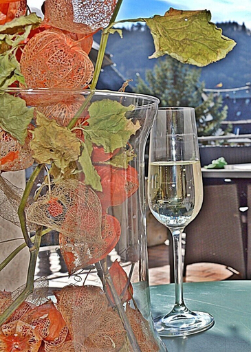 Food & Drinks 5, Ferienhaus Moselglück, Bernkastel-Wittlich