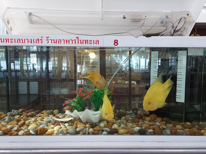Exterior & Views 2, Ruantalay Bangsaray Resort, Sattahip