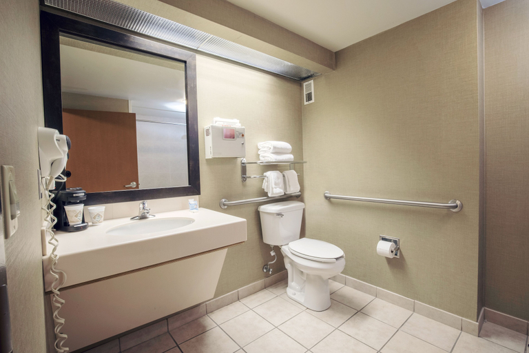 Bathroom 4, Casino Queen Hotel, Saint Clair