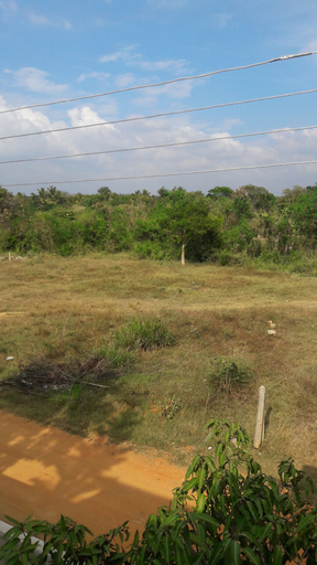 Others 5, Hotel Blue Moon, Dambulla