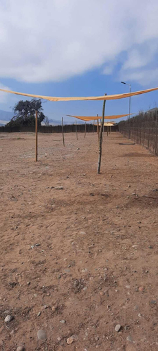 Others 3, Atacama Glamp, Huasco
