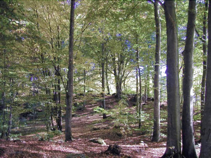Others 3, Villa Siesta, Älmhult