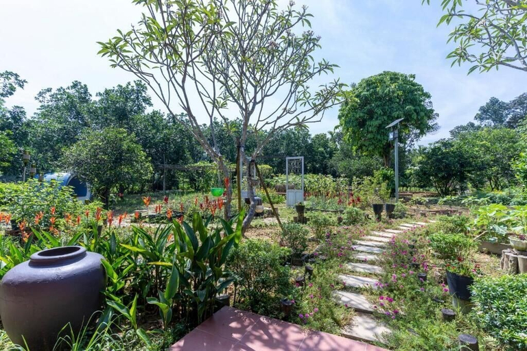 Others 5, Thai Gia Trang Farmstay, Huế