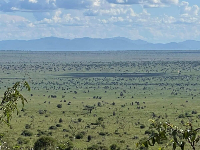 Others 4, Cheetah Campsite Lumo, Kibwezi East