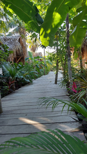 Others 5, Uman Glamping & Cenote Tulum, Cozumel