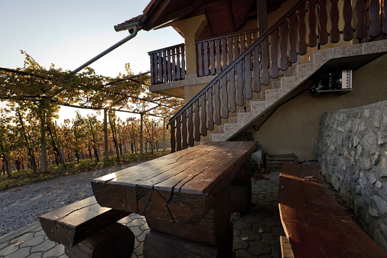 Others 4, Vineyard Cottage Brodaric, Metlika