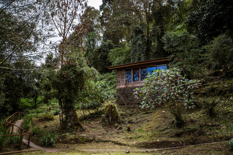 Exterior & Views 2, Paraíso Quetzal Lodge, Dota