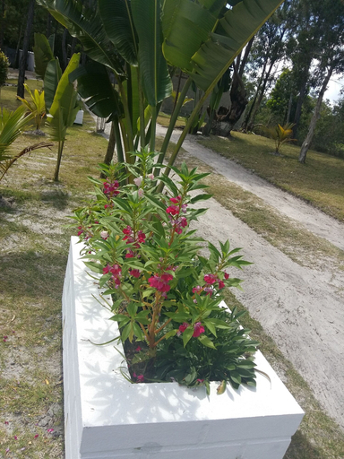 Others 5, The Sanctuary, Atsinanana