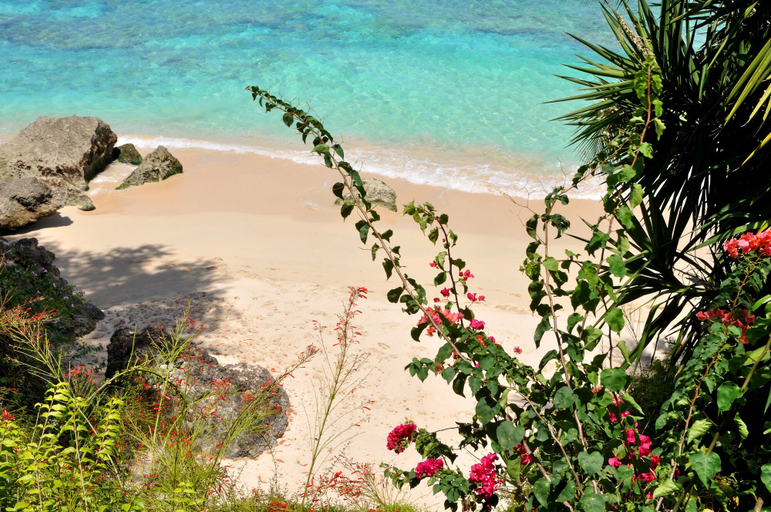 Others 5, Secret Cove 1 by Altman