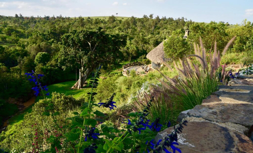 Others 5, Olepangi Farm, Laikipia North