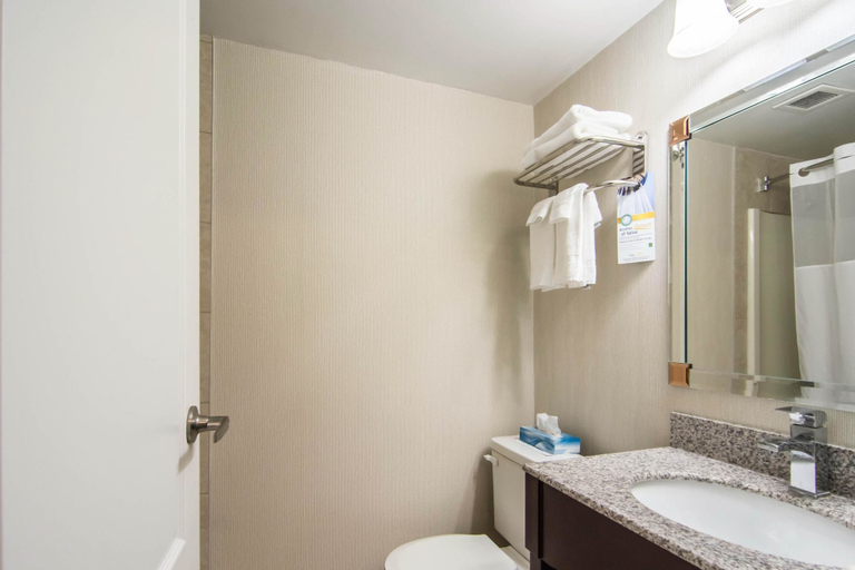 Bathroom 4, Quality Hotel, Division No. 5