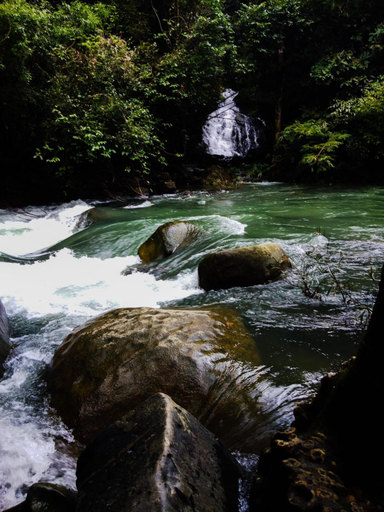 Others 5, Khao Sok Island Resort and Spa, Phanom