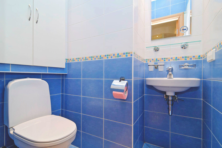 Bathroom 4, Feelathome on Lower Nevsky, Sankt-Peterburg gorsovet