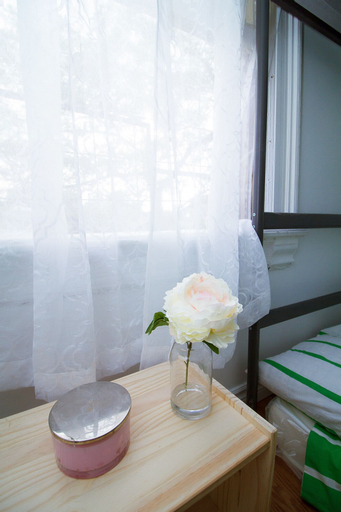 Others, 2 Bedrooma Apartment near Kensington Market - Unit 1, Toronto